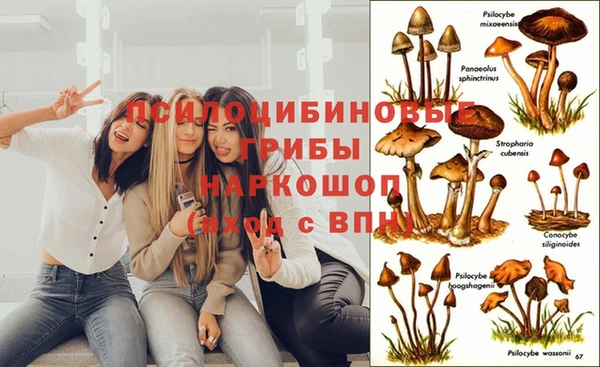 MESCALINE Заволжье