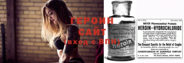 гидра Заводоуковск