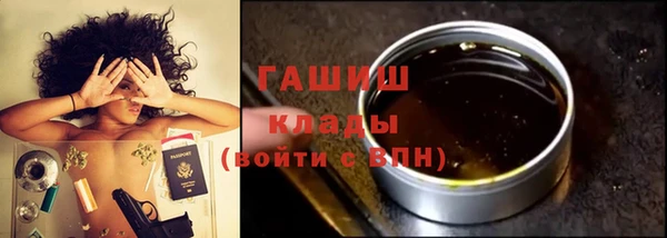 гидра Заводоуковск