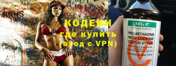 гидра Заводоуковск