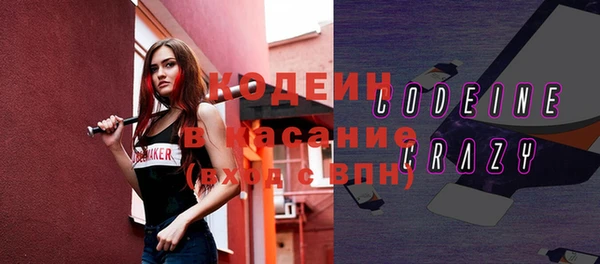гидра Заводоуковск